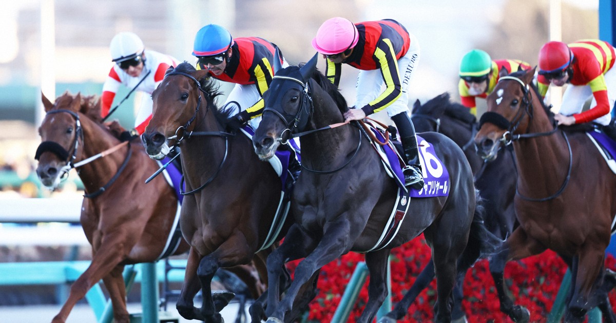 有馬記念 レガレイラV [写真特集1/9] | 毎日新聞