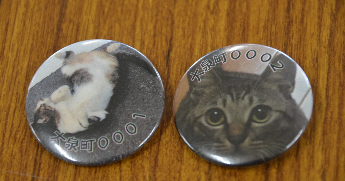 飼い主の意識向上へ「マイニャンバー制度」 群馬・大泉町が2月から