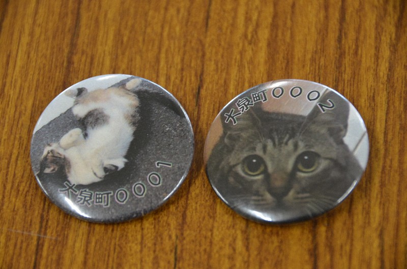 飼い主の意識向上へ「マイニャンバー制度」 群馬・大泉町が2月から