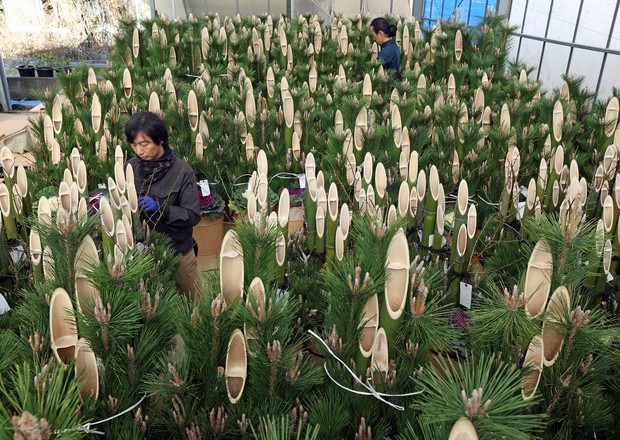 Easy Japanese news in translation: Shipping of New Year