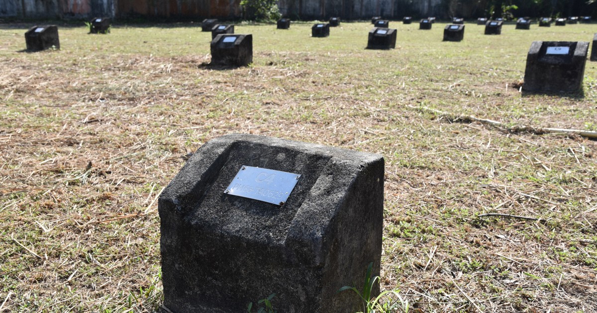 忘れられた大津波の犠牲者 今も仮埋葬400人 引き取り手ない事情 | 毎日新聞