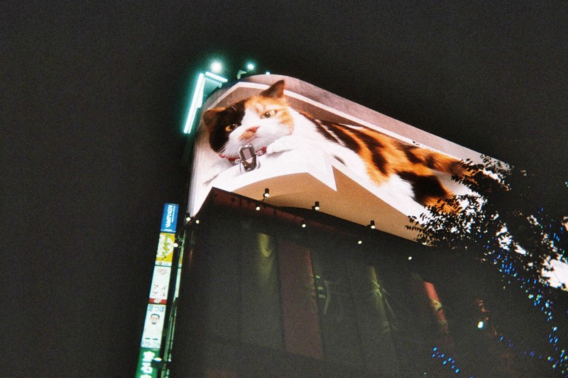 「*⋆❁*Cameron*❁⋆*～断捨離中」 ウチ、“断捨離”しました！ 10月21日(火)放送分 「“奇跡の66歳”と若き