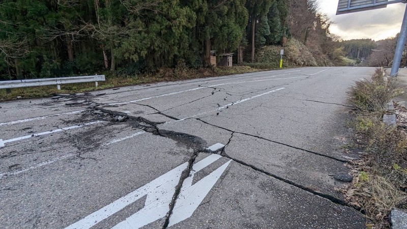 激震の10時間後に「奇跡の命」 ふるさと能登に重ねる母の夢 [写真特集1