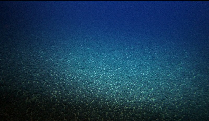 深海にゴロゴロ、レアメタル含む球体はどうやってできたか [写真特集1