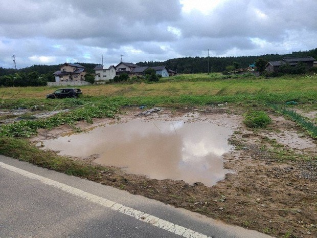 平穏な日常に戻れる畑、避難生活の糧に 豪雨で水没も「奇跡のカブ