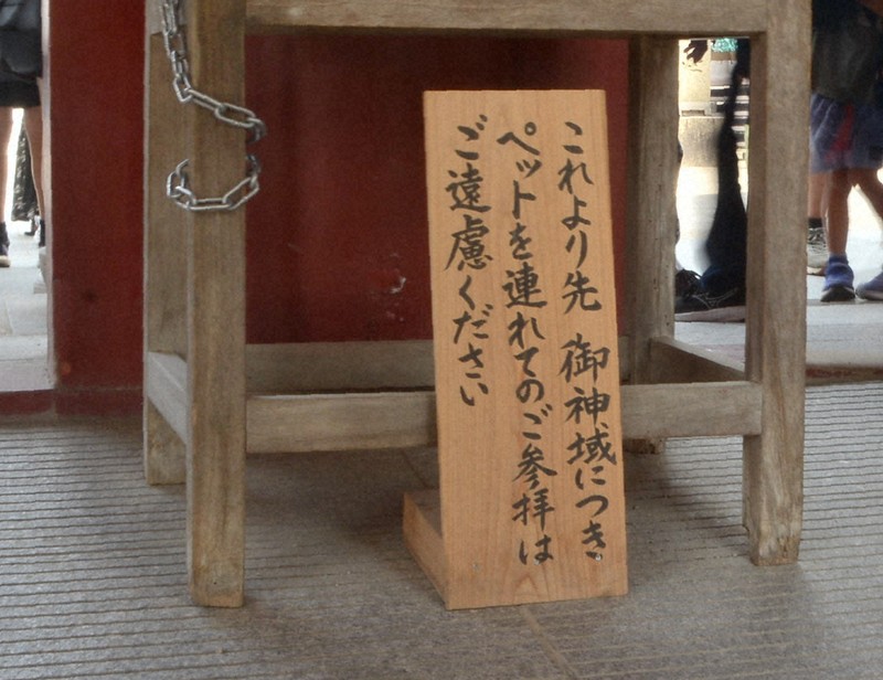 ☆特典7点付き [麦野イヌ] 神様が見てないから 全3巻 志井マサキ（麦野イヌ）@神様がみてないから (@seasea_man) / Posts / X