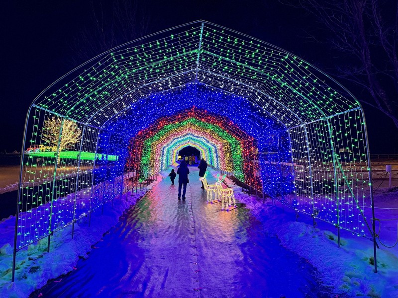 雪原彩る60万個のLED 岩手・小岩井農場で年末恒例ライトアップ [写真