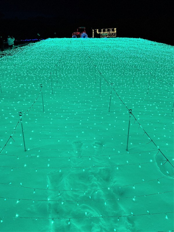 雪原彩る60万個のLED 岩手・小岩井農場で年末恒例ライトアップ [写真