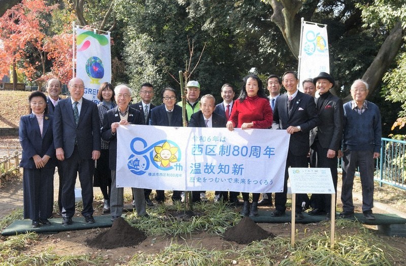 シドモア桜苗木、横浜・公園に植樹 西区制80年、市民団体 ／神奈川