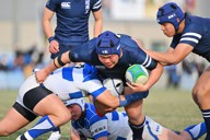 入念な研究で意表突くプレー 国学院久我山が好発進 高校ラグビー