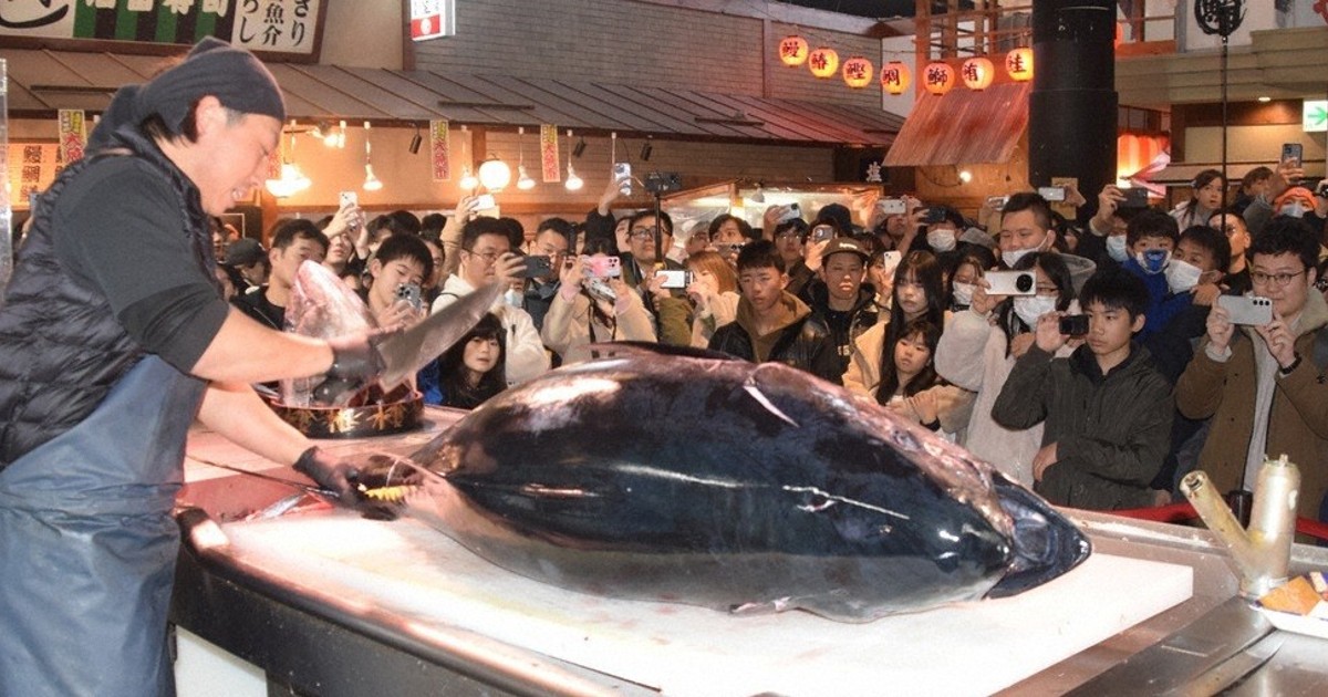 年の瀬、さばきたての生堪能 マリーナシティでマグロ解体ショー 和歌山