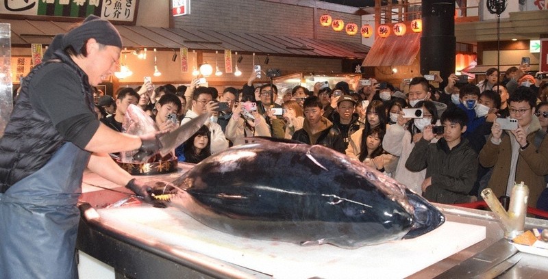 年の瀬、さばきたての生堪能 マリーナシティでマグロ解体ショー