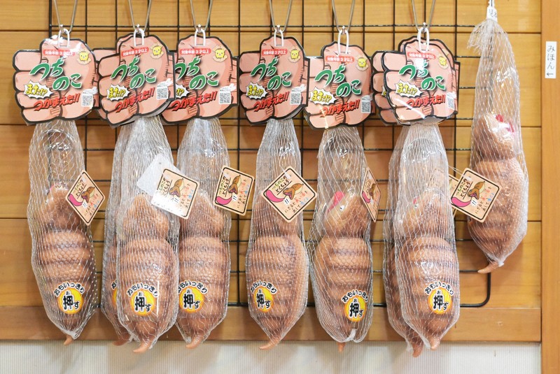 幻の生物・ツチノコの正体は リアルな模型、目撃談で謎に迫る資料館