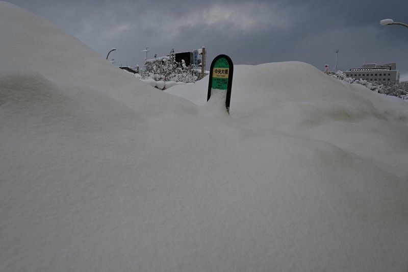 青森の記録的大雪、「線状降雪帯」関係か 海面水温上昇などで雪雲