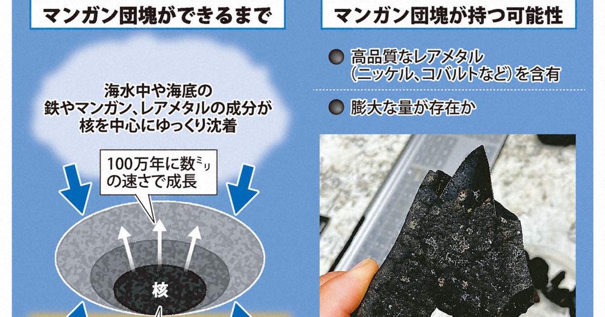 科学の森：希少金属含む深海の球体の不思議 サメの歯や小石を核に成長