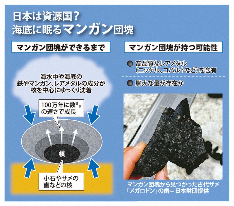 科学の森：希少金属含む深海の球体の不思議 サメの歯や小石を核に成長