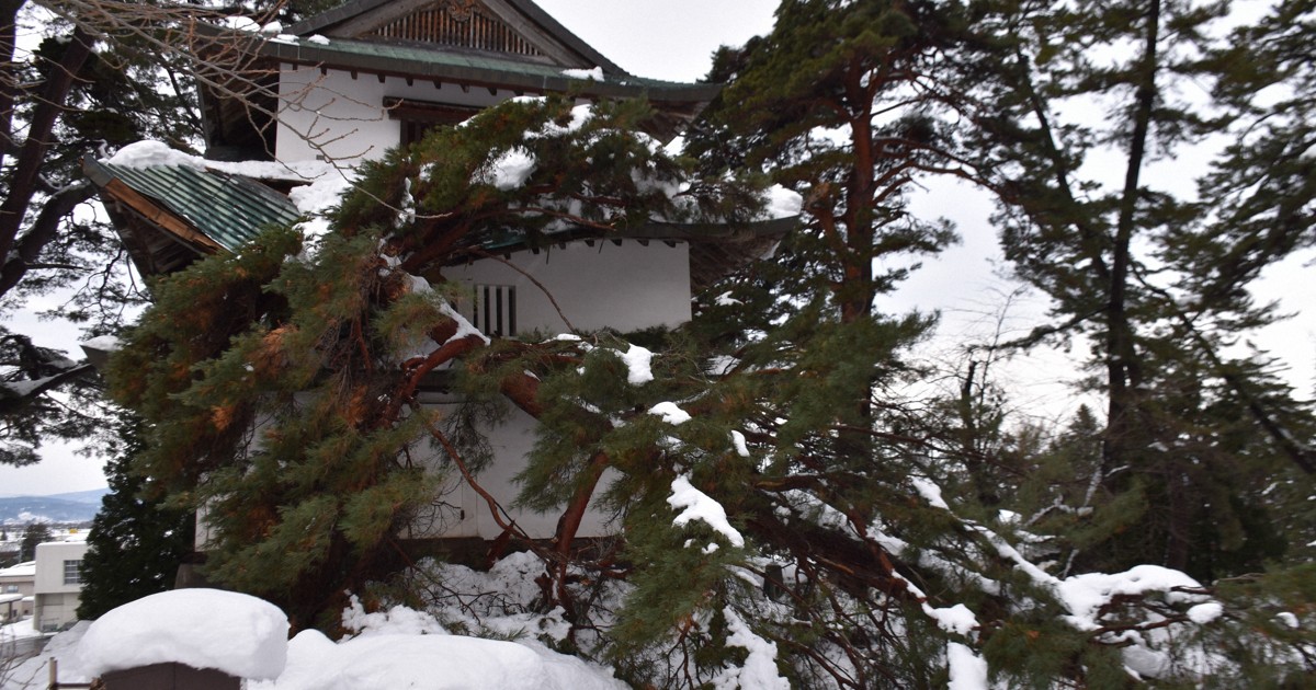 青森大雪 2人死亡、12人負傷 倒木で弘前城二の丸未申櫓損壊 | 毎日新聞