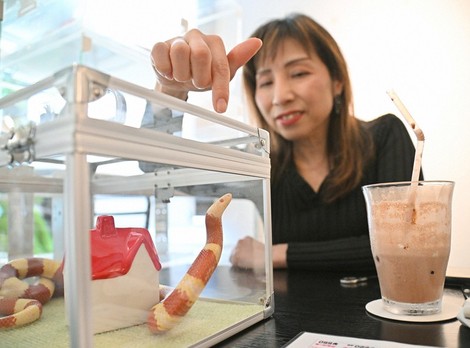 In Photos: Snake 'attendants' welcome visitors to Tokyo cafe 