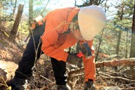 学んだこと伝え続ける」10歳の震災伝承者 復興庁から感謝状 | 毎日新聞