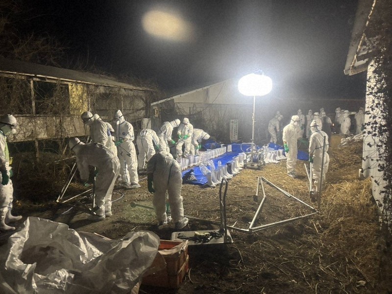 竹内玉苑作　額 楽天市場】【ふるさと納税】濃厚!やまご農園の「あけぼの小玉」約6kg