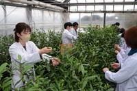 (Mainichi/Kentaro Suzuki)