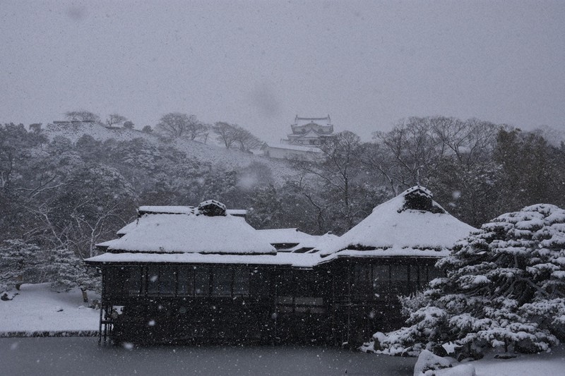 彦根城、墨絵の世界に 最強寒波、県南部でも降雪 大雪注意報 北部