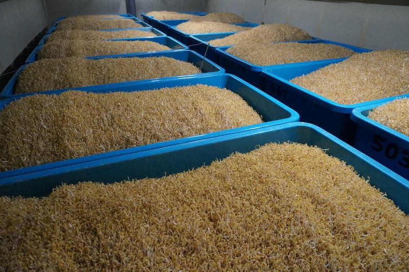 サバイバル・データで読む値段：モヤシ値上げ、神経戦 | 毎日新聞