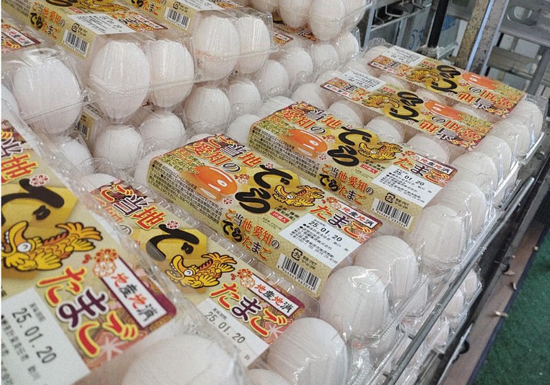 鳥インフル、卵危機再び？ 鹿児島など14道県28件、高騰懸念 | 毎日新聞