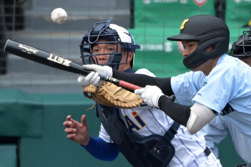 第96回選抜高校野球大会 試合球 第96回全国高校野球選手権大会 決勝戦 実使用ボール 甲子園 試合
