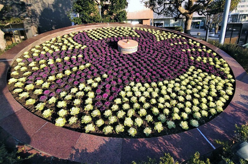 花時計、鮮やカニ JR鳥取駅前 冬の植え替え ／鳥取 | 毎日新聞
