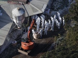 鳥インフルエンザの感染が確認された養鶏場で鶏の殺処分の準備をする関係者＝長崎県佐世保市で2022年12月22日、本社ヘリから