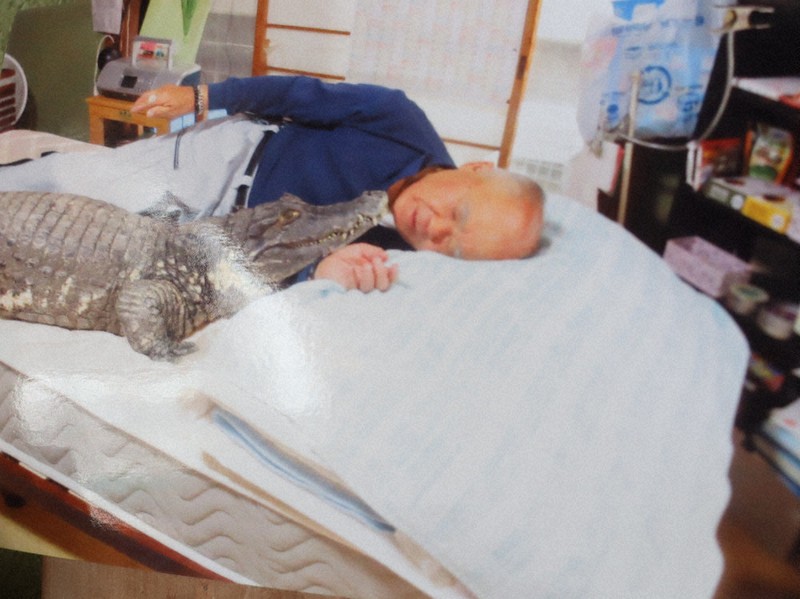 カイマンくん、死ぬ 40年以上ワニと生きた73歳「今でも泣きそう 