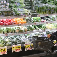 野菜の値段が高騰する中、スーパーの売り場を回る買い物客＝東京都足立区で2025年1月20日、三浦研吾撮影