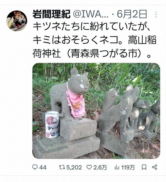 解キメキ！：Q 猫の石像や碑が各地で見つかっているって本当？／下