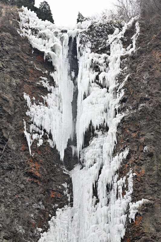真冬の造形美 古閑の滝が今冬も凍る 熊本・阿蘇 [写真特集1/11] | 毎日新聞