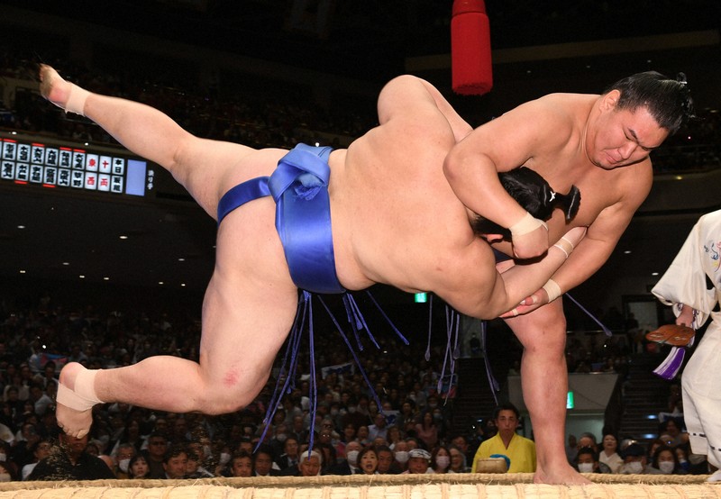 平成１９年大相撲初場所 幕内力士絵 平成19年大相撲初場所 幕内力士絵 - メルカリ