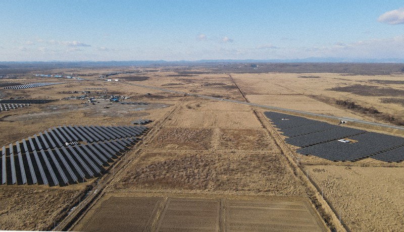 太陽光」からチュウヒ救え 希少猛禽類の生態調査へ 釧路の研究所、CFで