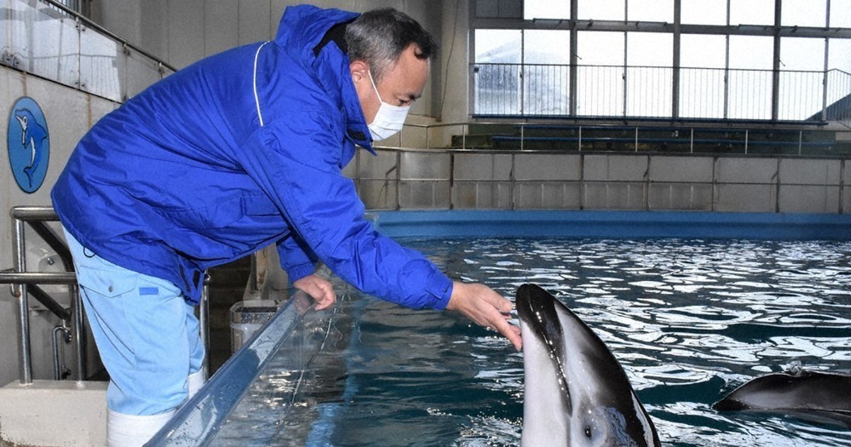 毎小ニュース：社会 イルカショー復活へ のとじま水族館、春にも完全