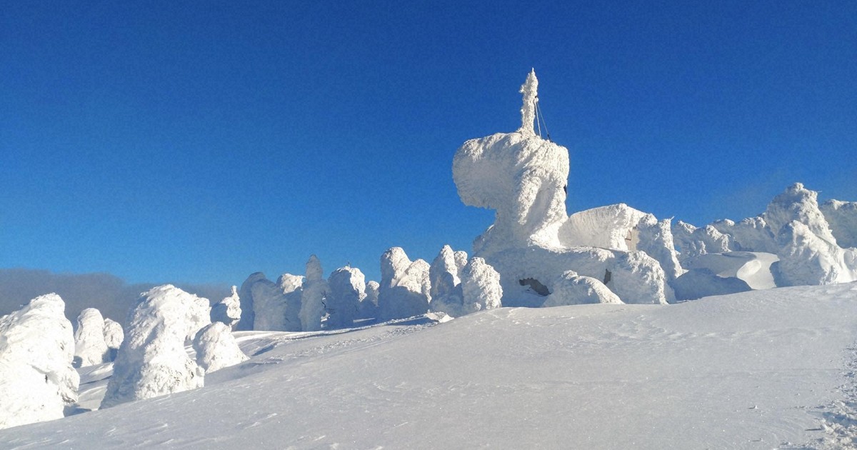 大迫力！巨大なスノーモンスター 厳冬の八甲田山系で見ごろ [写真特集1