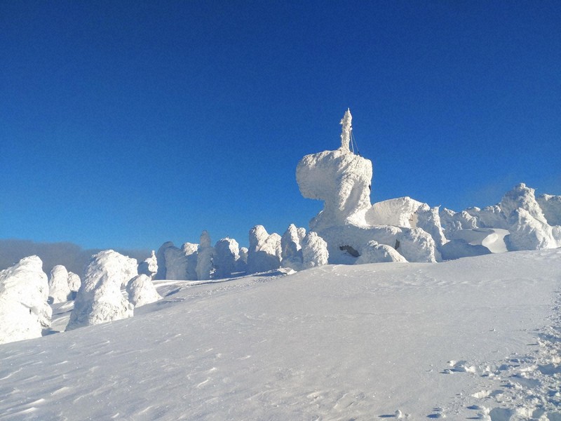 大迫力！巨大なスノーモンスター 厳冬の八甲田山系で見ごろ [写真特集1
