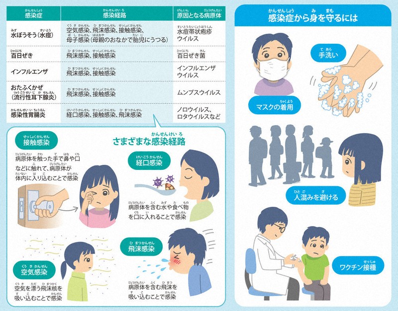 しょうかんせん しょうかんせん 試してみた】生漢煎 防風通聖散