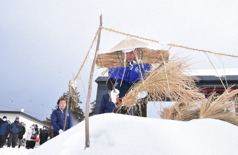 とうほく・冬点描：北秋田で「雪中稲刈り」 「豊作のお告げ」に笑顔