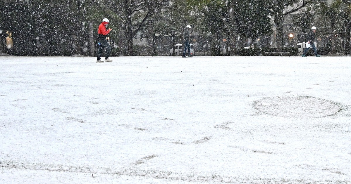 寒波襲来 福岡で積雪 [写真特集1/11] | 毎日新聞