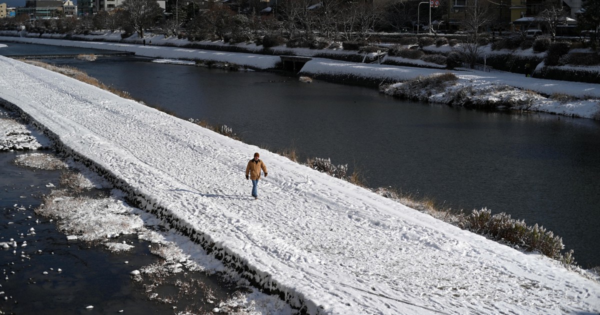 京都市内、2年ぶりに5センチの積雪で一面銀世界に [写真特集1/18