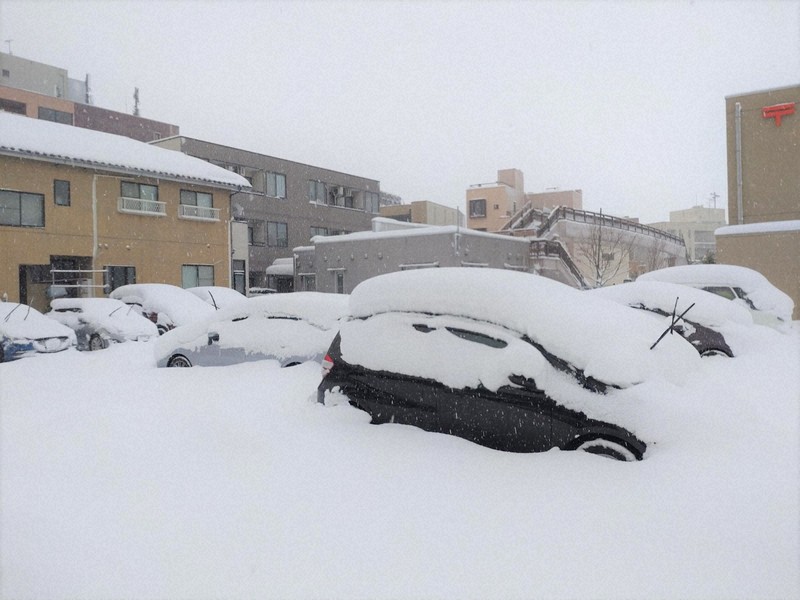 長沢風雪 Leovince 15400Cu Lv Corsa Carbon Fiber Slip-On Exhaust Ninja 400