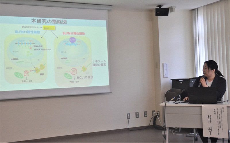 抗がん剤の効果高めるたんぱく質「SLFN11」愛媛大が仕組み解明 | 毎日新聞