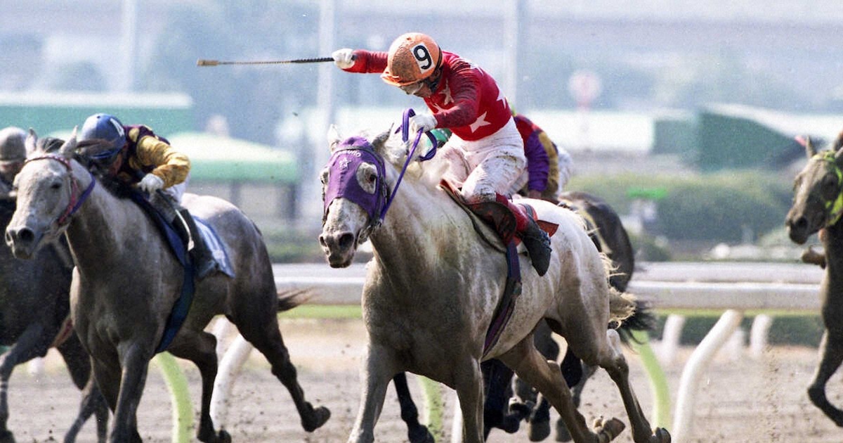 的場文男的馬券マトバケン二枚セット