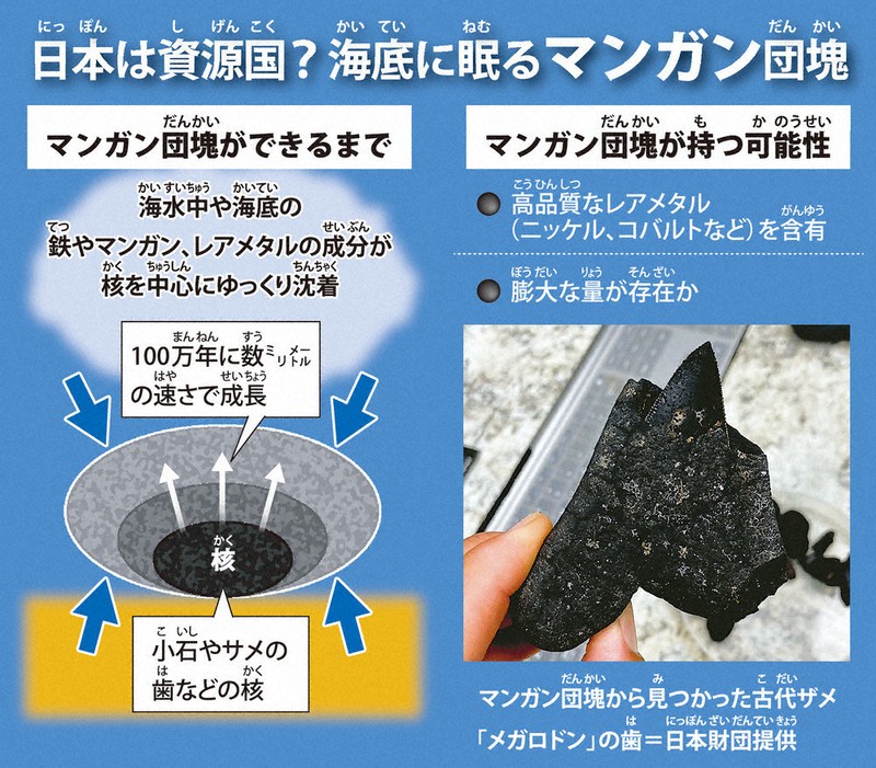 毎小ニュース：科学 南鳥島沖に希少金属（その1） 深い海底