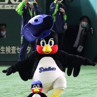 天国へ「飛び立った」 ヤクルトスワローズのつば九郎 [写真特集15/29