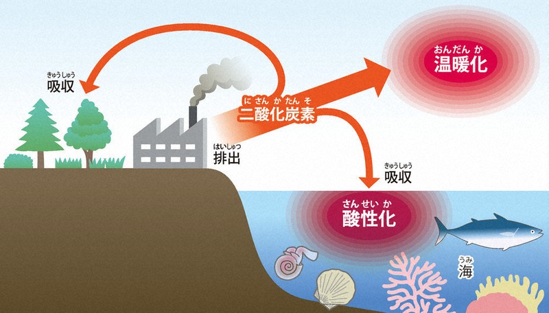 指令！海を探究せよ：地球温暖化と海の役割～二酸化炭素が増えて酸性化